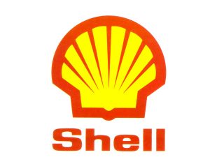 Scopri di più sull'articolo Shell