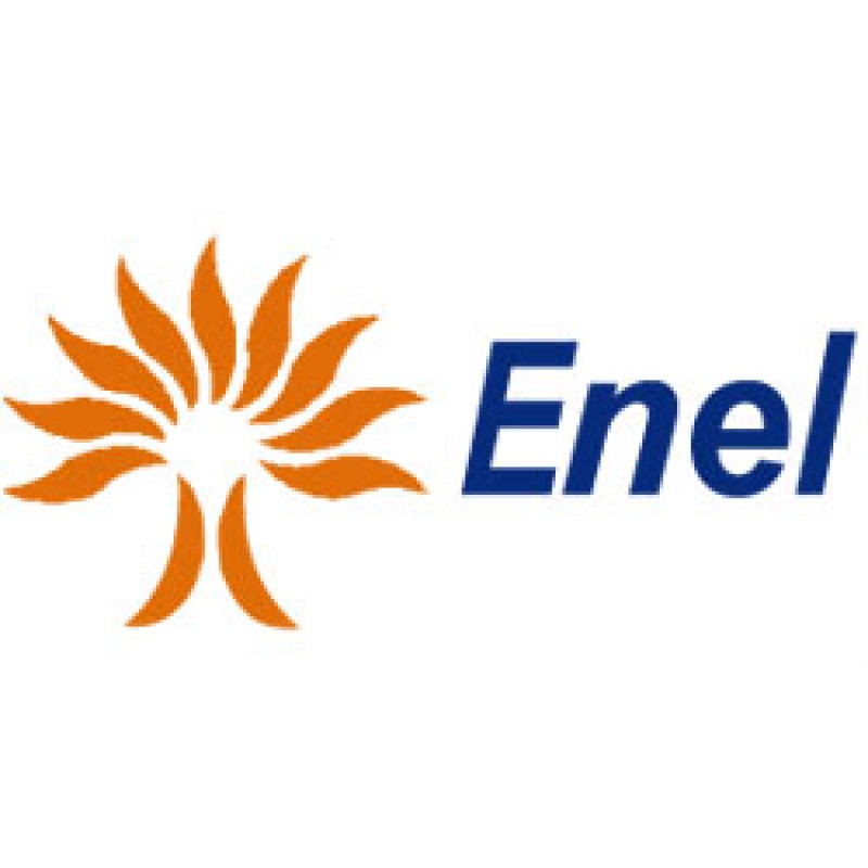 Al momento stai visualizzando Enel
